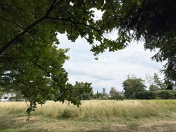 Blick vom Garten