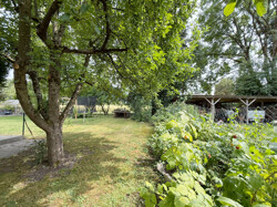 Privatgarten im Sommer