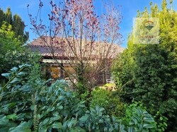 Blick auf Haus mit Terrasse vom Gartenweg