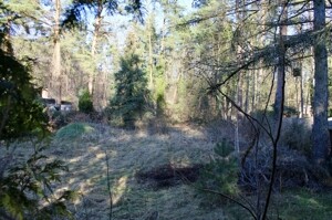 Blick auf das Grundstück