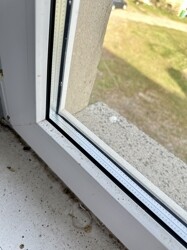 Fenster