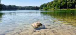 Seelandschaft Harnekop