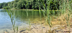 Seelandschaft Harnekop