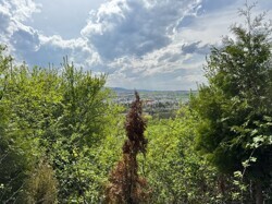 Ausblick