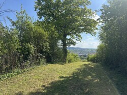 hinterer Garten mit Weitblick