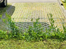 Parkplatz