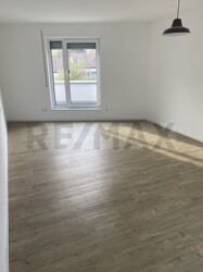 Zimmer2