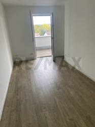 Zimmer3