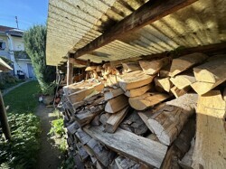 Holzvorrat im Garten