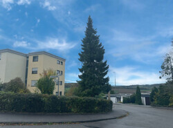 Umgebung