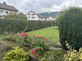 Garten   im Spätherbst