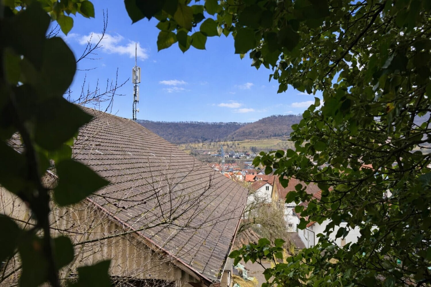 Ausblick