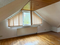DG Fenster