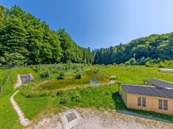 Ein großer Teich gehört ebenfalls mit zur Grundstück