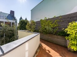 Die sonnenverwöhnte Dachterrasse in Süd-Ost-Ausrichtung mit vielen gepflegten Grünpflanzen 