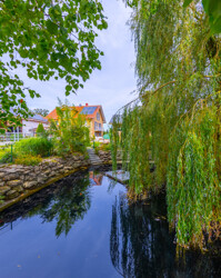 Der eigene Weier, ein Platz der Ruhe