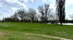 Main Wiese