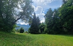 Gemeinschaftsgarten