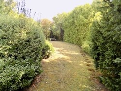 Immobilienbild