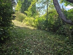 1000160556
