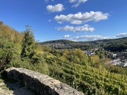 Blick auf benachbarte Grundstücke