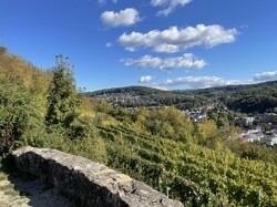 Blick auf benachbarten Weingarten