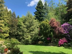 Garten_2