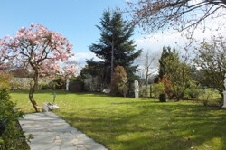 Schön angelegter Garten