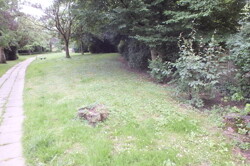  Außenseite zum Park