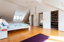 DG Studio