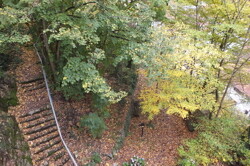 Waldgrundstück mit Wegen