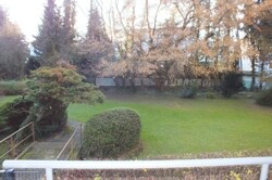 Blick in Garten