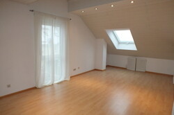 DG Studio