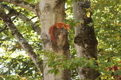 Natur vor'm Balkon