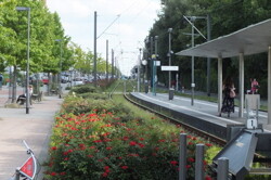 Straßenbahn 300 m entfernt