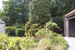 Terrasse mit Waldblick