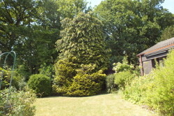 Garten mit Blick zum Wald