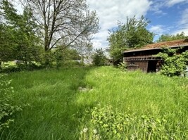 Außenansicht_Garten