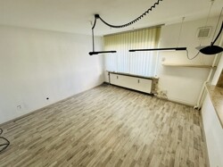 Zimmer1