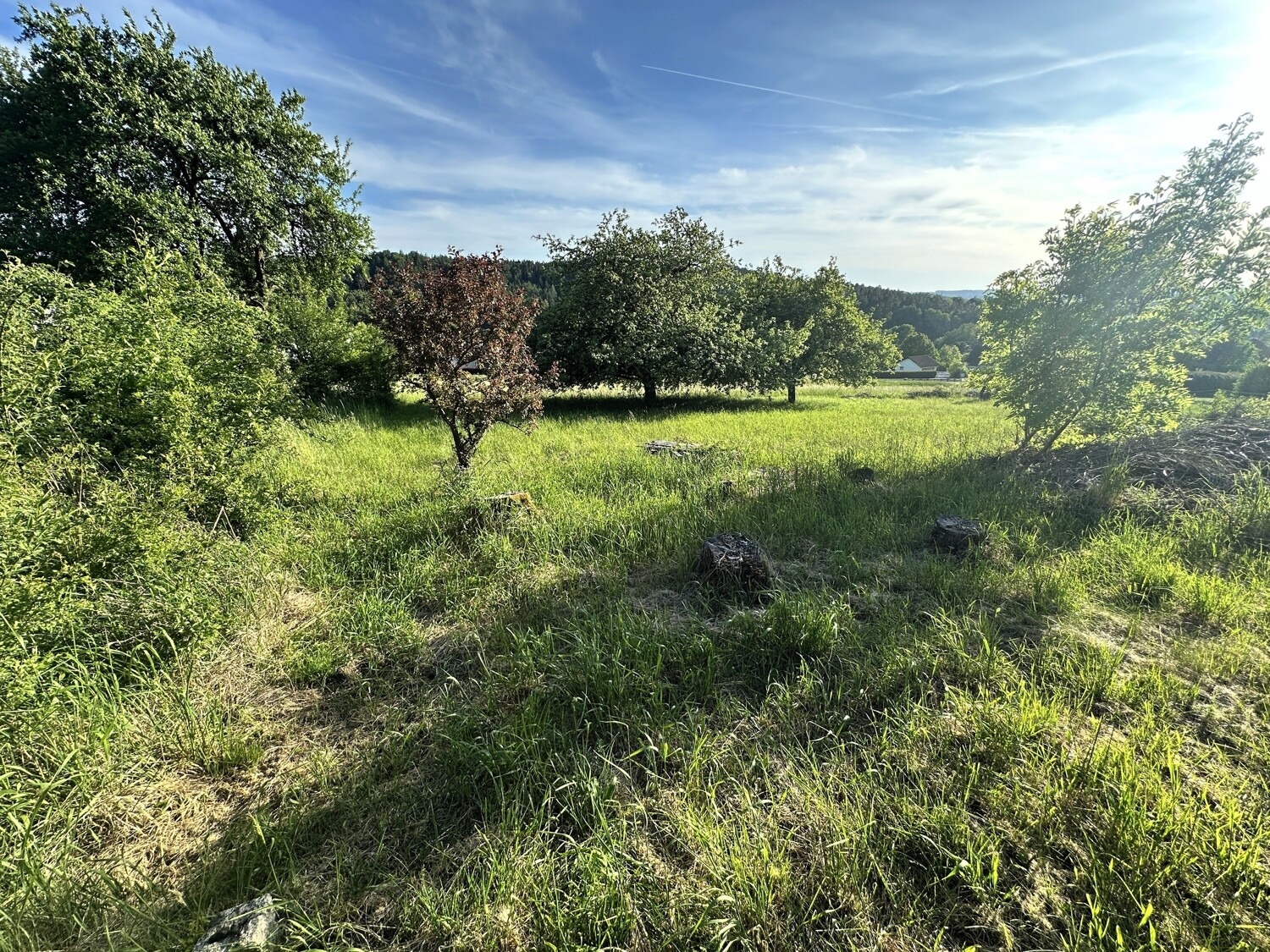 Baugrundstück
