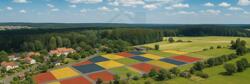 Bunte Felder und dörfliche Landschaft