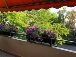 Blick vom Balkon2