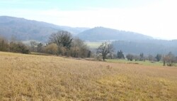 Hegauvulkanlandschaft