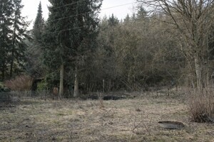 Gartenansicht