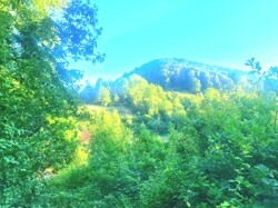Blick über das Grundstück