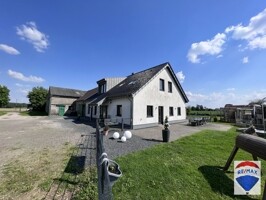 IMG_0153