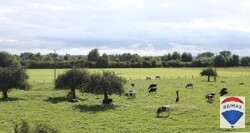 Blick aus 1.OG Richt. Süd-West