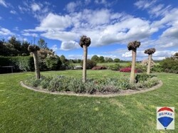 Luft/Gartenasicht