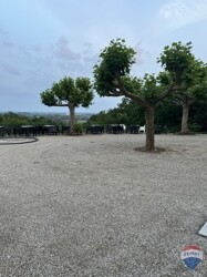 IMG_1200