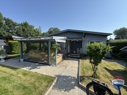 IMG_7017